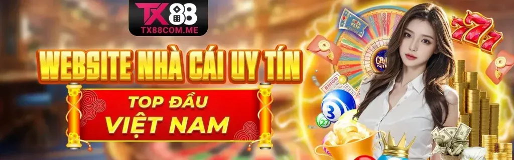 Hình ảnh minh họa chính sách cookie và bảo mật dữ liệu của vx88 App
